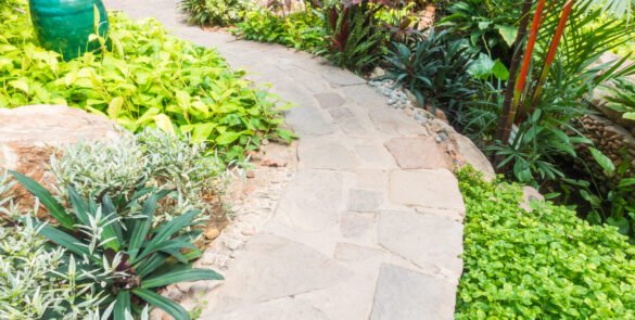 Aménagement paysager : Comment créer un jardin harmonieux et durable ?