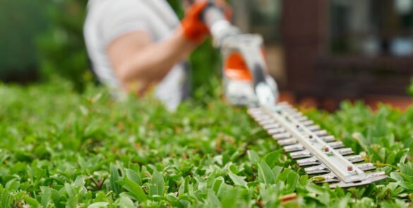 Quels sont les coûts d’entretien d’un jardin ?