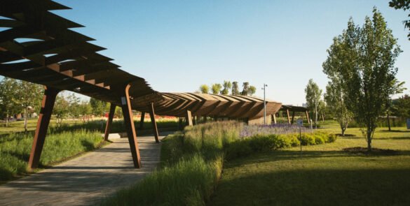 Aménagement paysager : les pièges à éviter pour un jardin réussi !