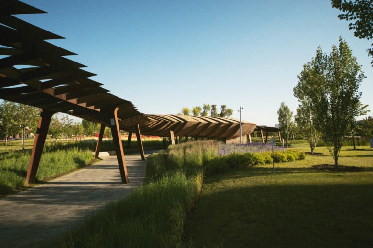 Aménagement paysager : les pièges à éviter pour un jardin réussi !